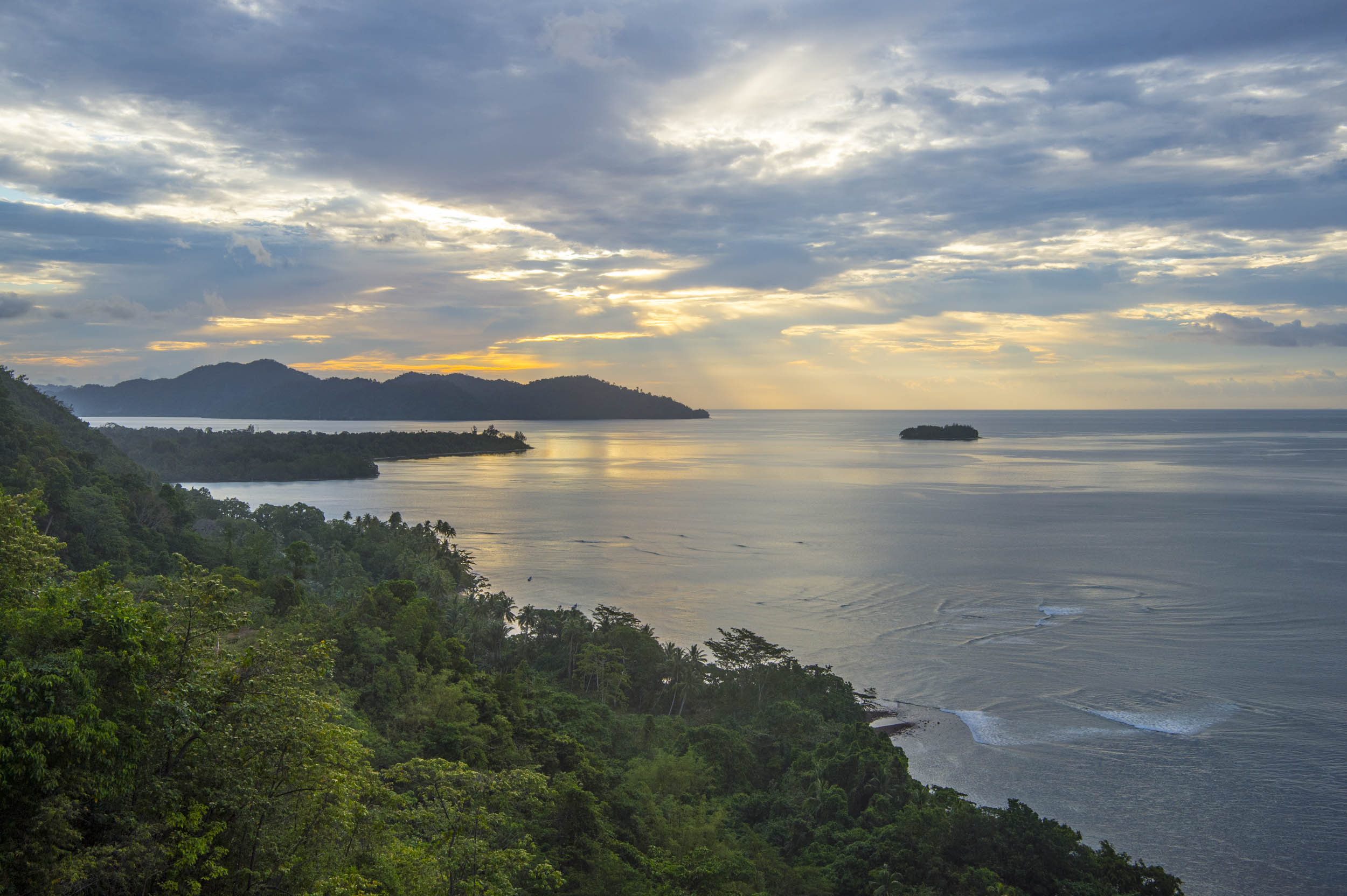 Biodiversity loss is a threat to our planet's habitats