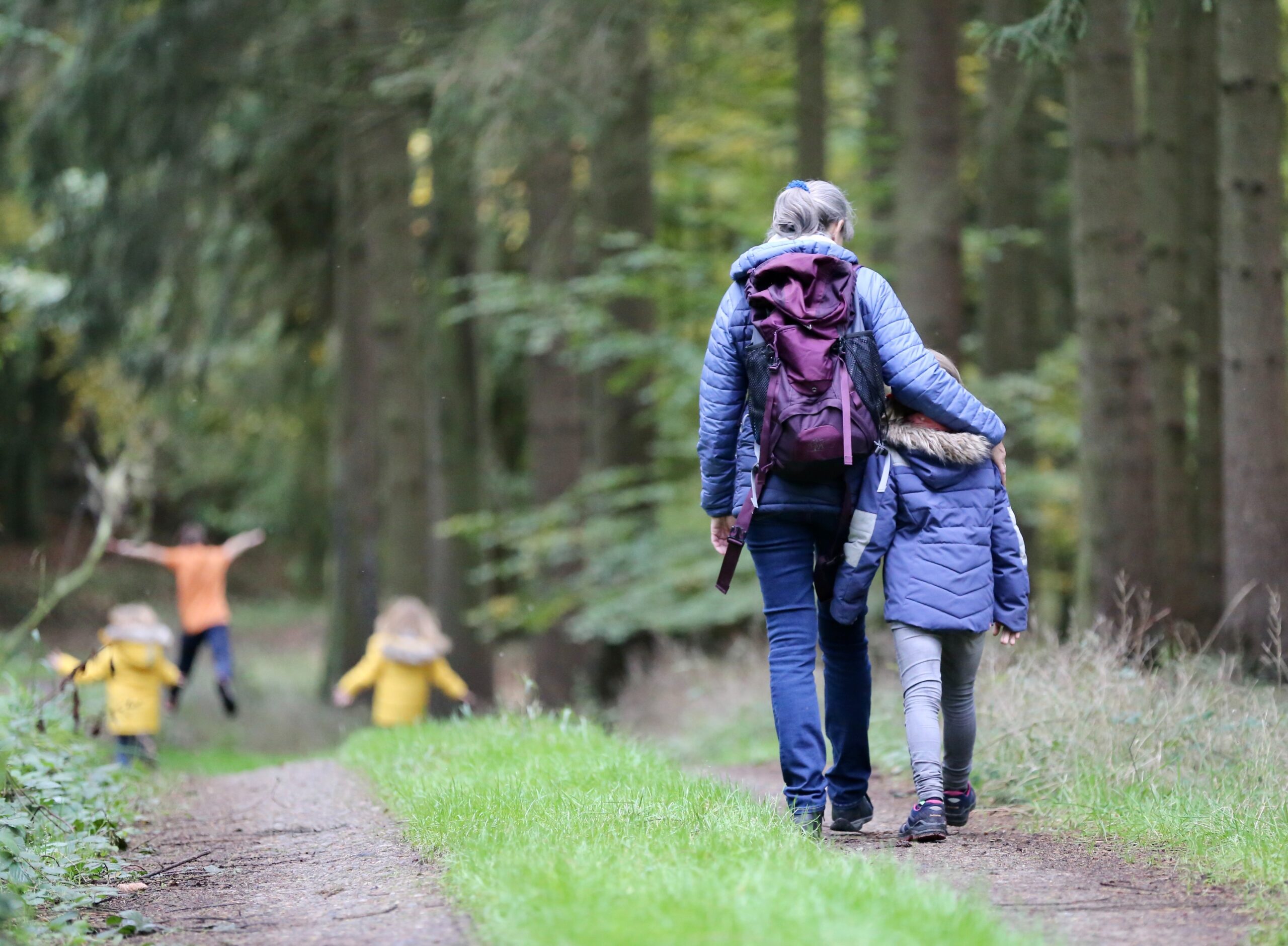 Walks in nature