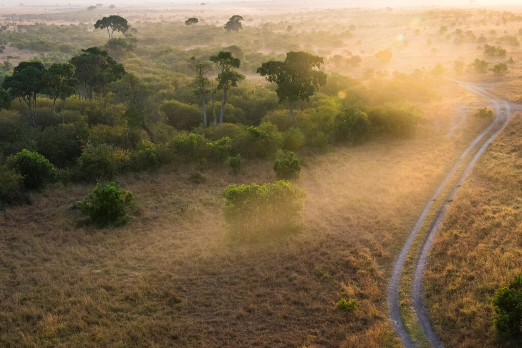 Your company's reserve