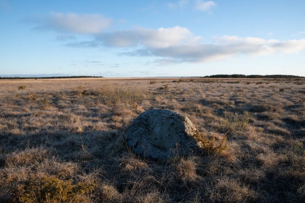 Habitats Estonia nature reserve