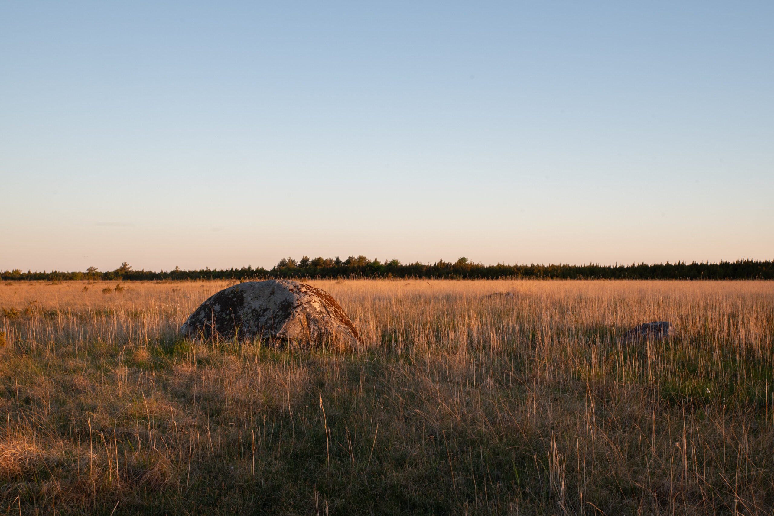 Habitats Estonia nature reserve