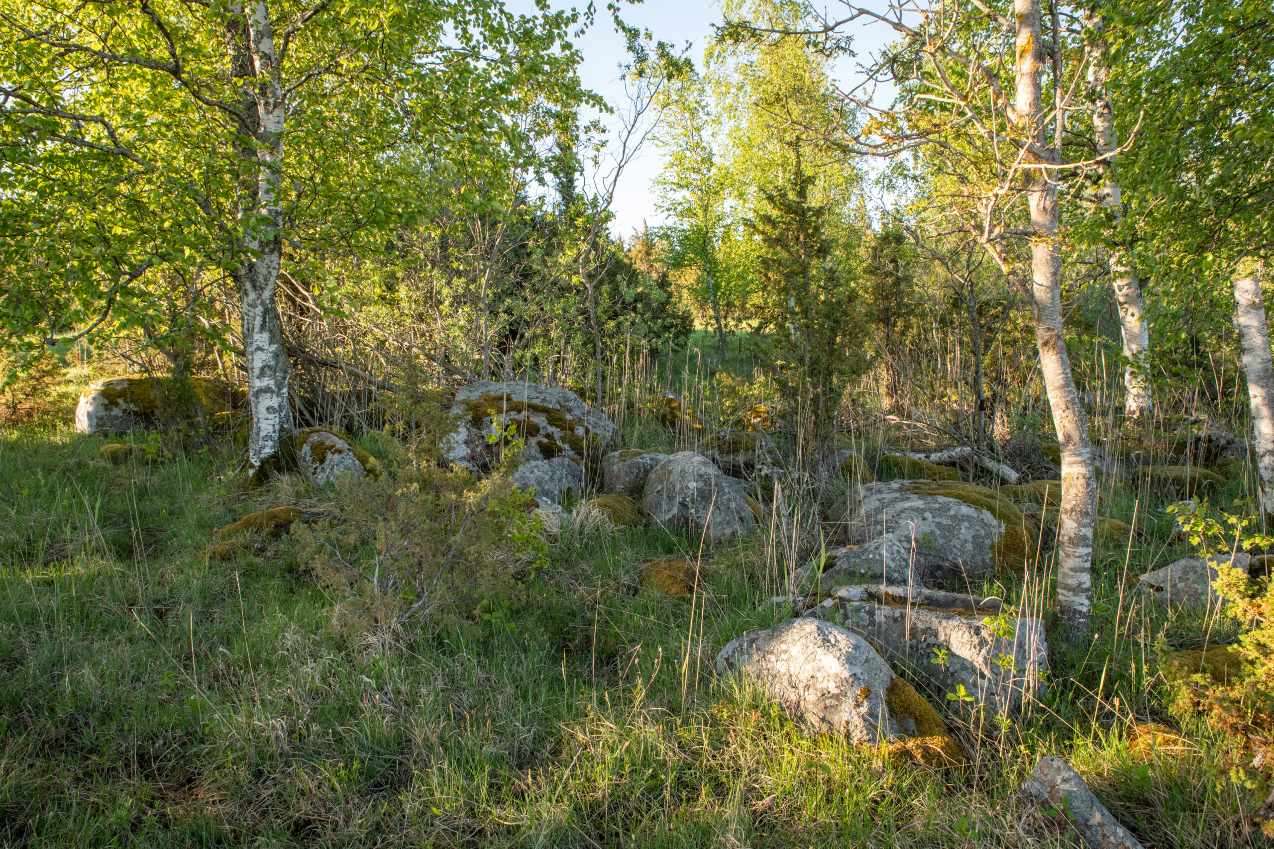 Rock formation in Estonia - Habitats conservation