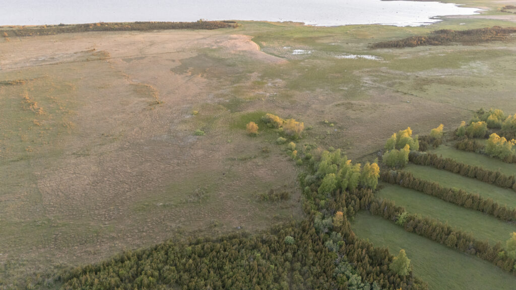Habitats Estonia nature reserve - coastal meadows