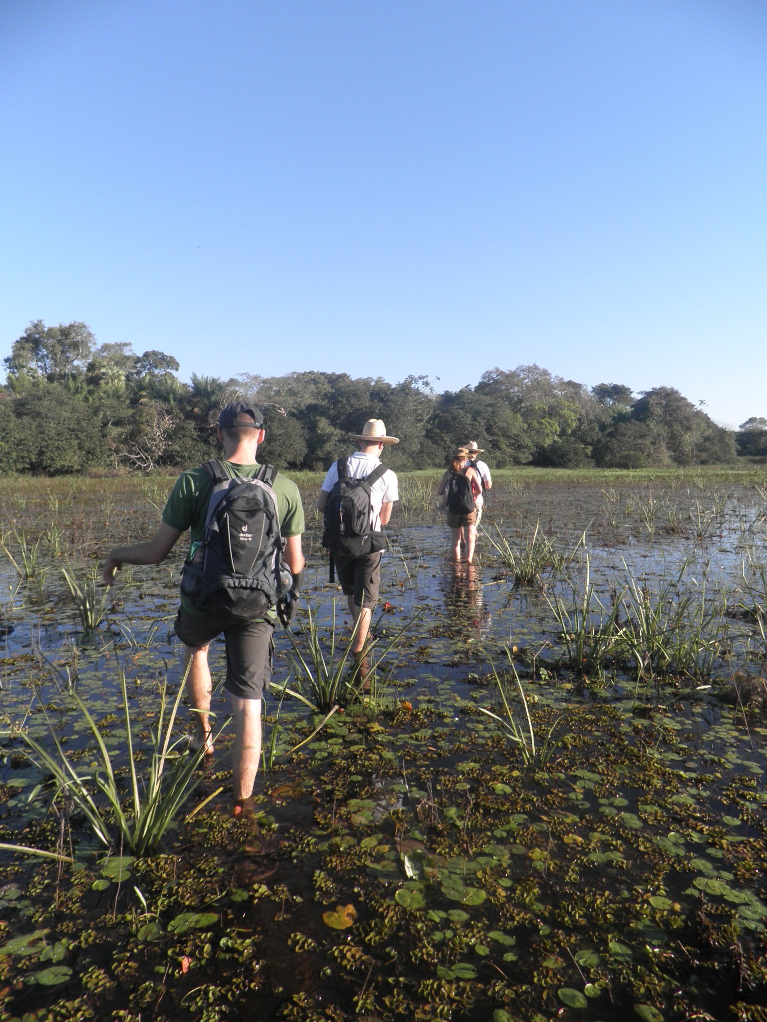 The Pantanal