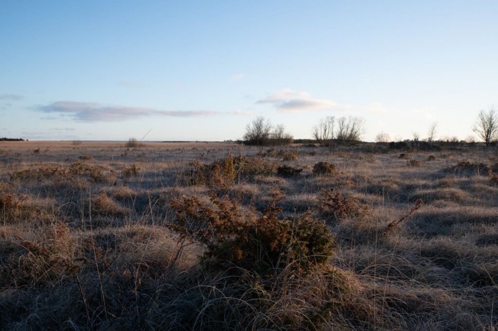 Habitats Estonia nature reserve