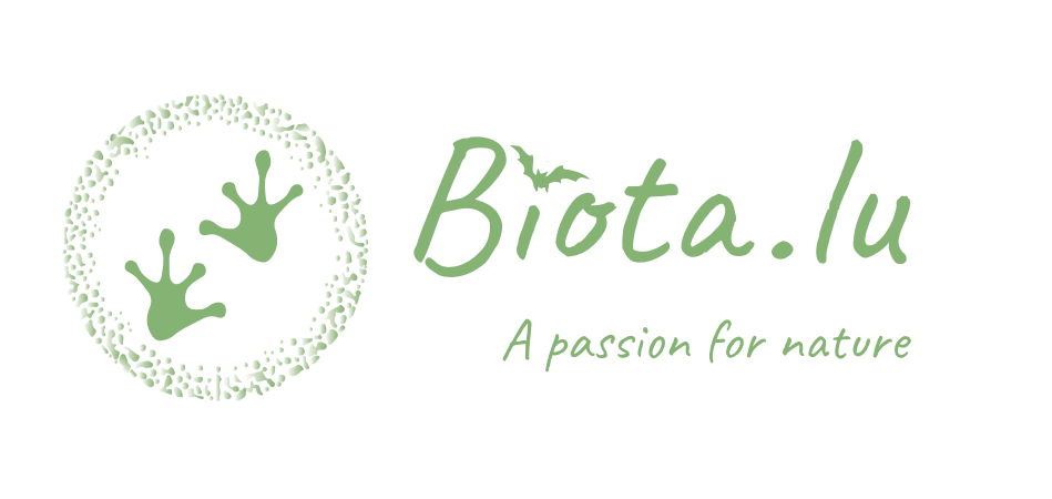 Biota