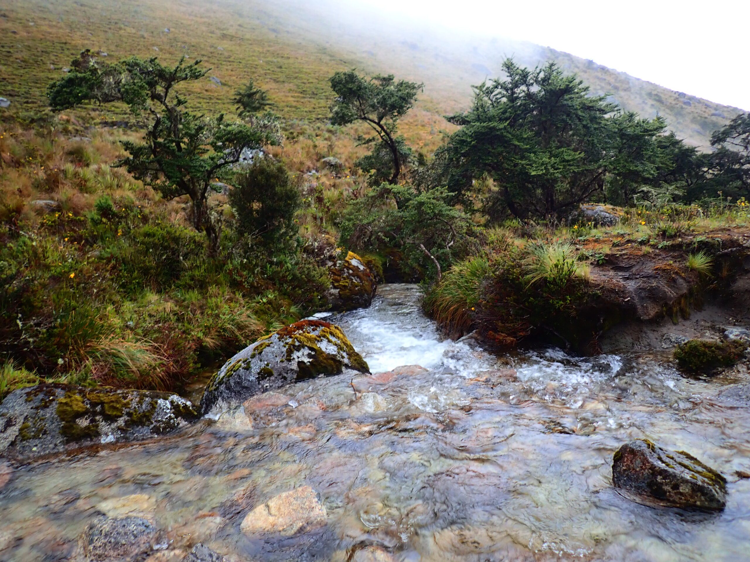 Sierra Nevada de Santa Marta in Colombia